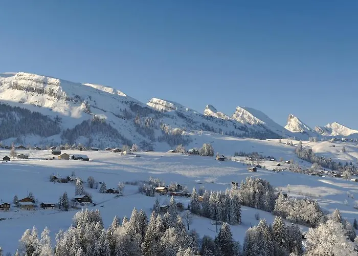 Toggenburg 3* Wildhaus