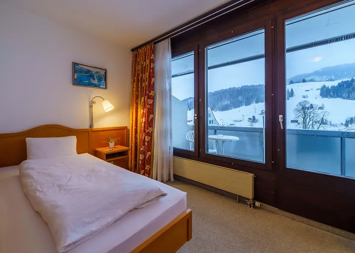 Toggenburg 3* Wildhaus